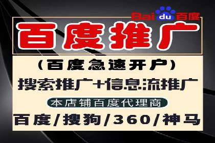 百度竞价赚钱攻略：实战案例分享
