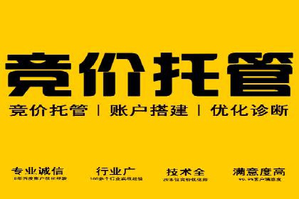 案例分析：SEM托管服务助力电商销量倍增